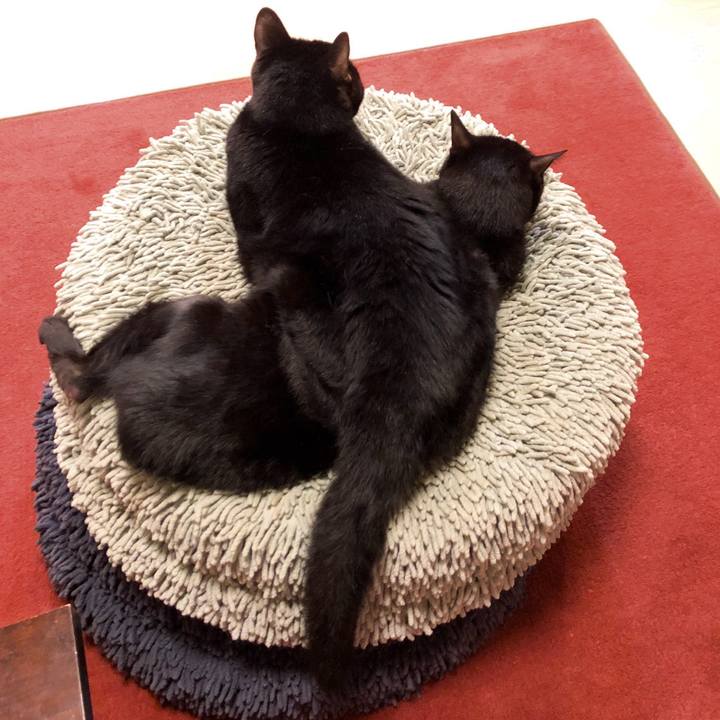 305c7f4e a83e 46a1 b6fd fd7350f87ab1 1529499127986