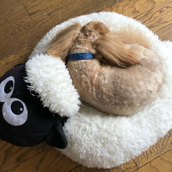 305cb3ff 3233 4fa5 9b06 56708706934a 1648964624024