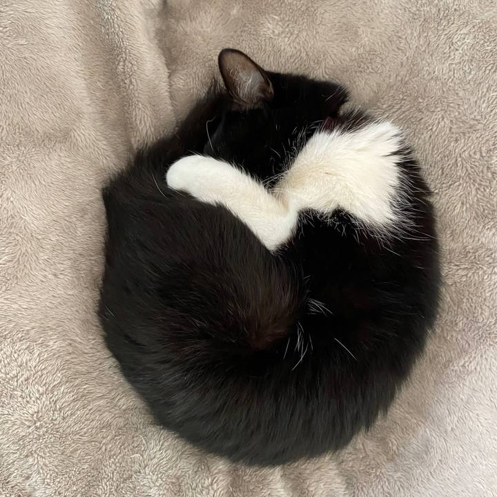 305cf1af b0e5 4c34 9165 a07302c9622e 1674260086033