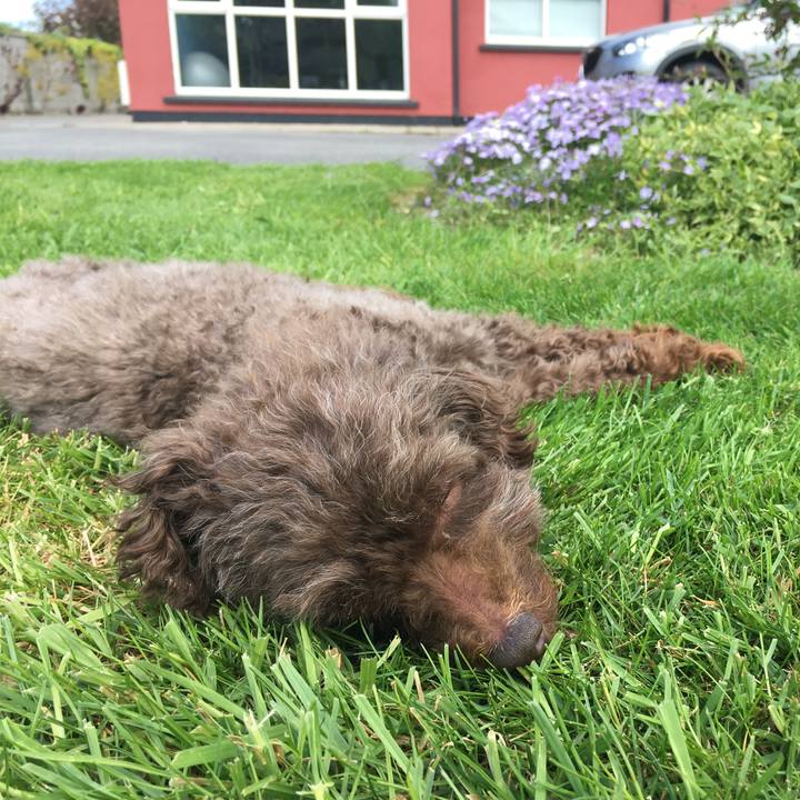 305d0aae 4a29 4d8f 80d8 a97953183814 1588082165796