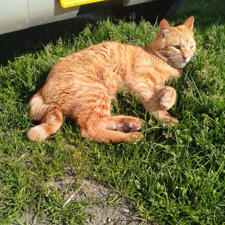 305d3b05 6fea 4cd0 be8c 04d008325706 1680523902911