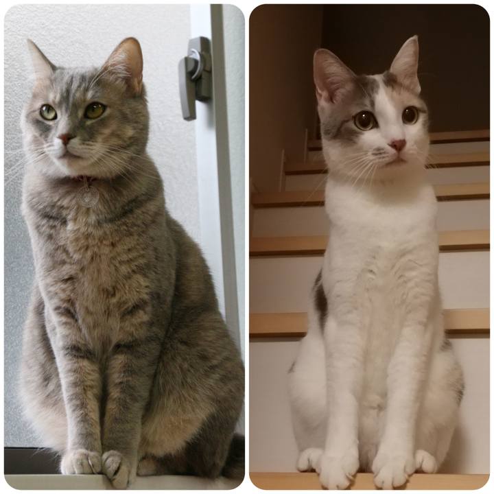 305d3d0b d88d 4c88 bfd0 6ae4b12db923 1542249001834