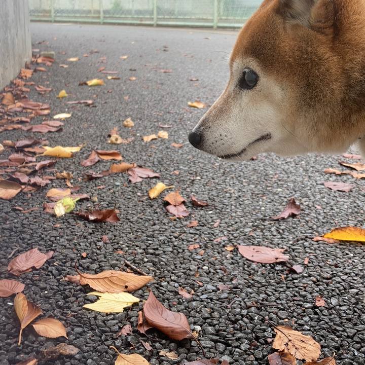 305d4956 d03d 41e8 8bac 6c8918a72797 1694838618590