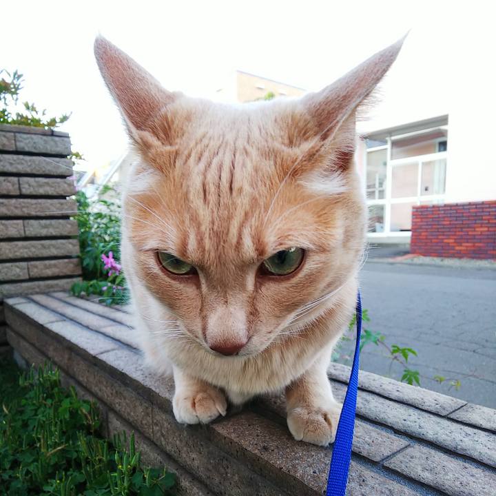 305d4999 988c 4a2c b1fb d63a2599a336 1626343712434