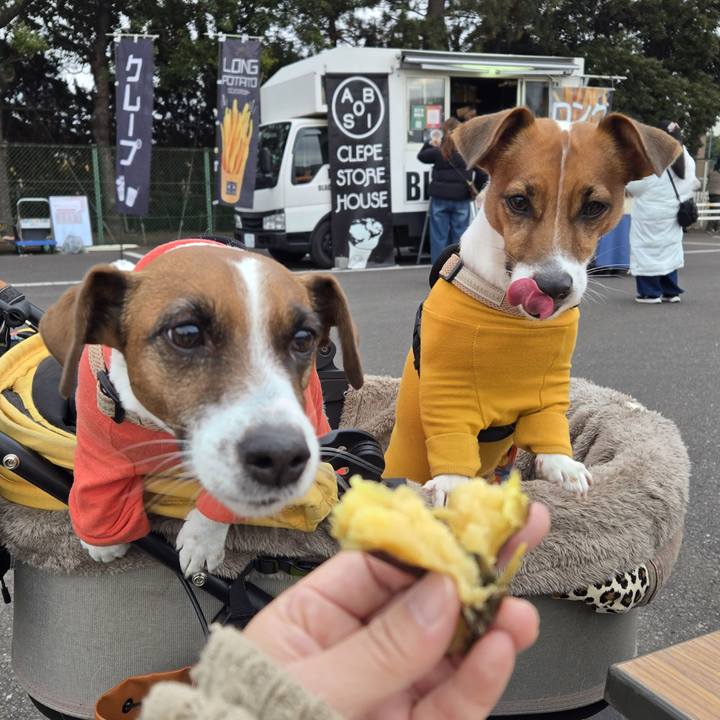 305d5fd1 db61 4b4a a957 a66f93ffd2e0 1766837380328