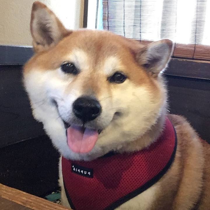 305d7a19 802a 4c91 a6d2 07682384aeea 1627459911642