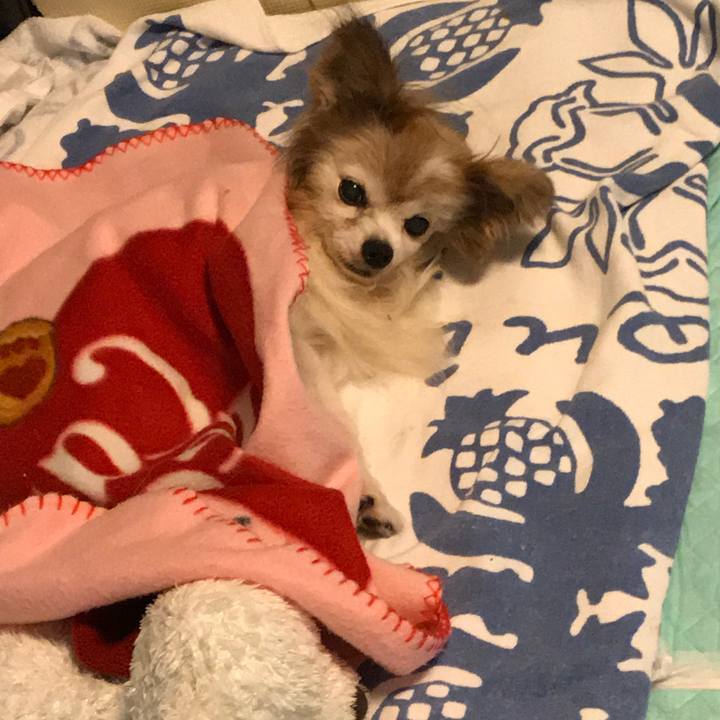 305dff43 54dd 4470 88f2 a0ac4a6f961f 1507974582957