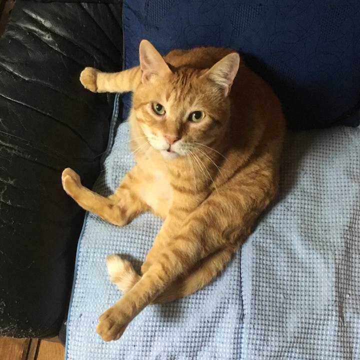 305e03fe c1ff 43da b7a4 b2a6e6b1df1e 1564066917455