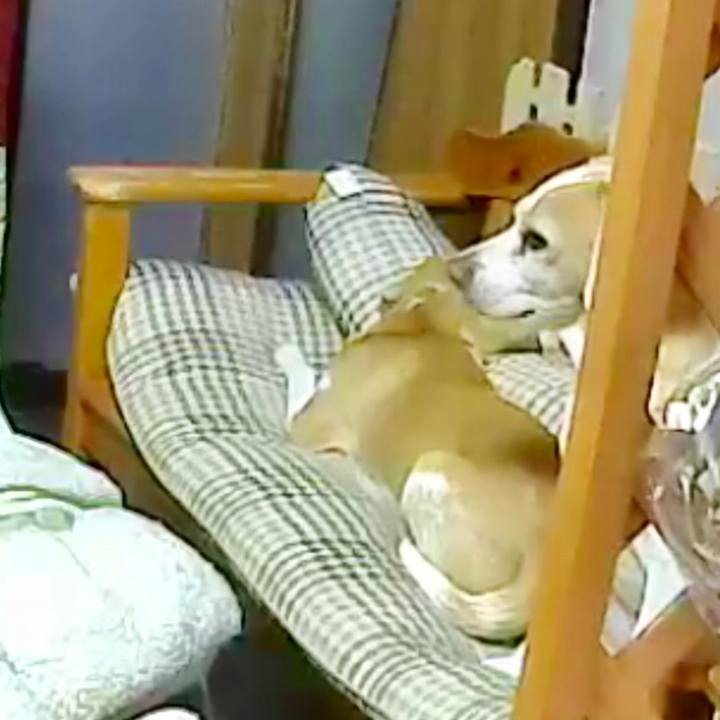 305e51bd a60c 492a aa18 cf8930b3b49d 1523054111012