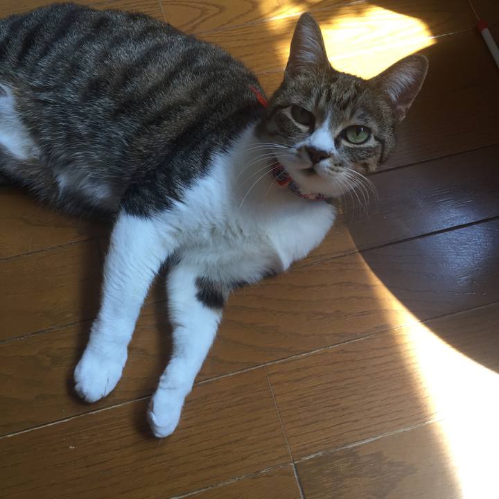 305e5863 e95f 4040 96f1 88d0586c162a 1554520515707