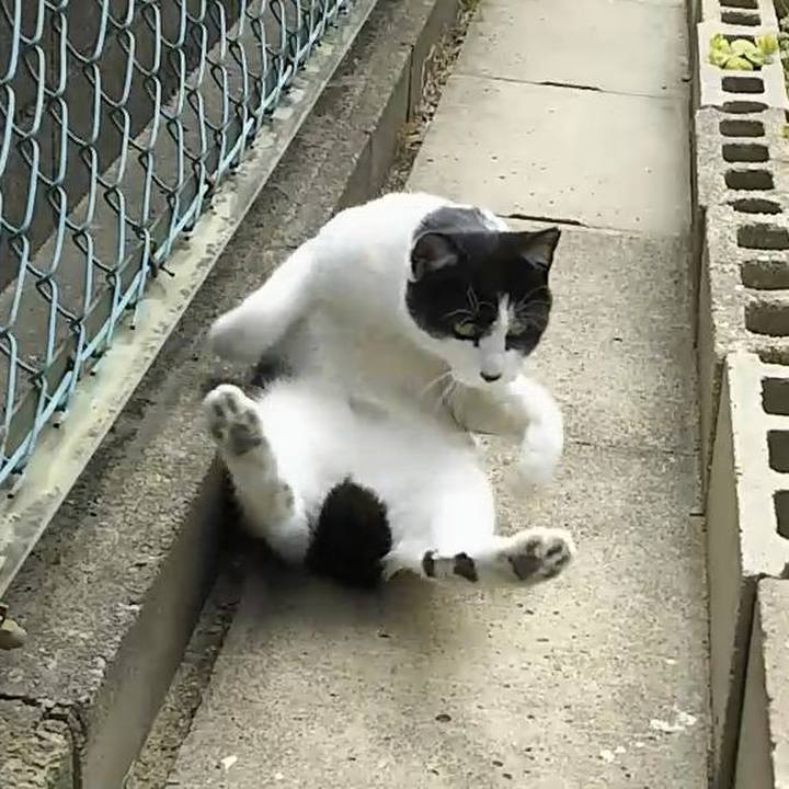 305ea540 5a02 45b5 9e48 5351952d452b 1553403895420