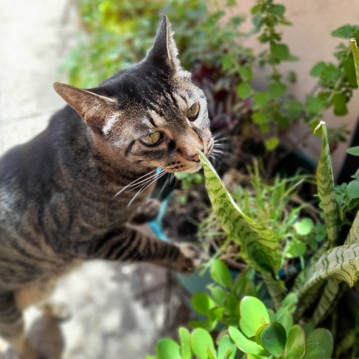 305ebc10 ea59 4dd8 a600 be5a0738c579 1764667255255