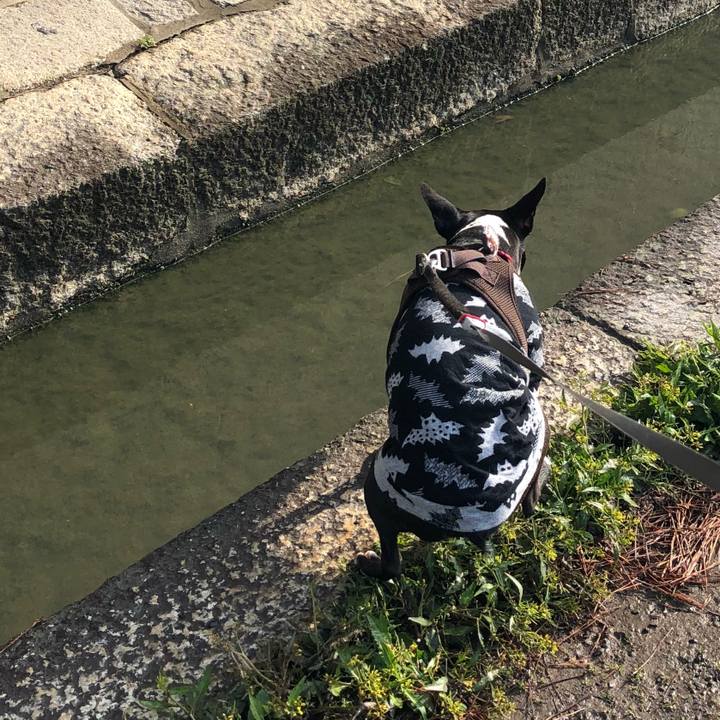 305f03e4 7965 4043 8368 5c895d4b0753 1523494527078