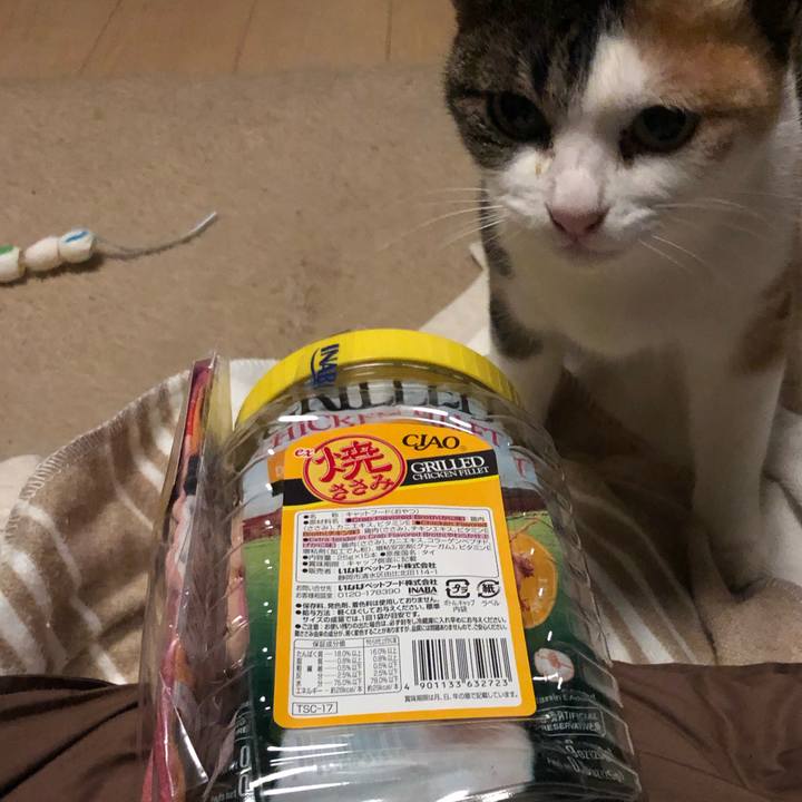 305f1184 7879 42ea 92a0 c6317aecf1d0 1579868788763