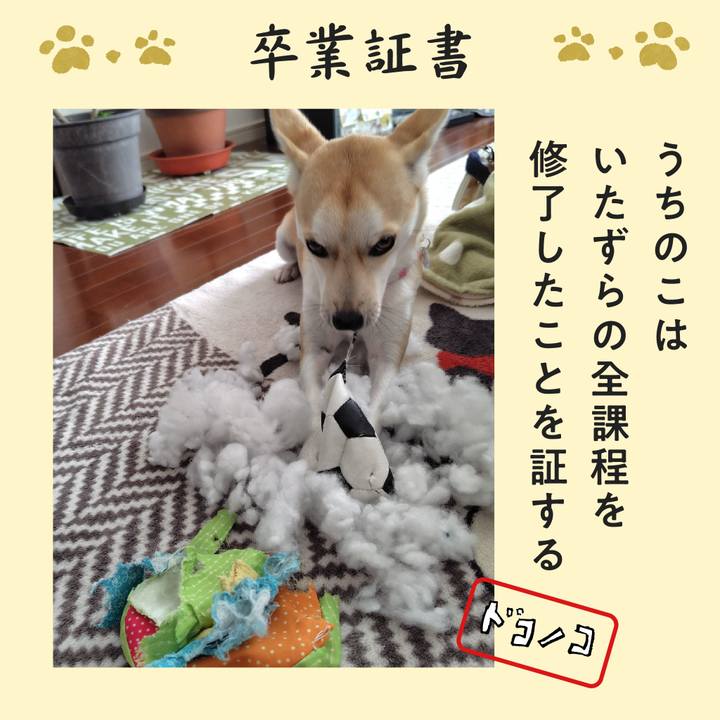 305f22dd fa99 4558 8a05 6ea17b56e370 1772412665276