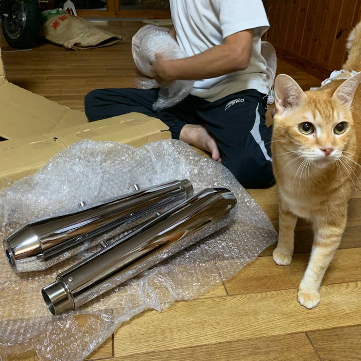 305f375e 1256 45e1 bd60 4fd6cfe0ef52 1666097991717