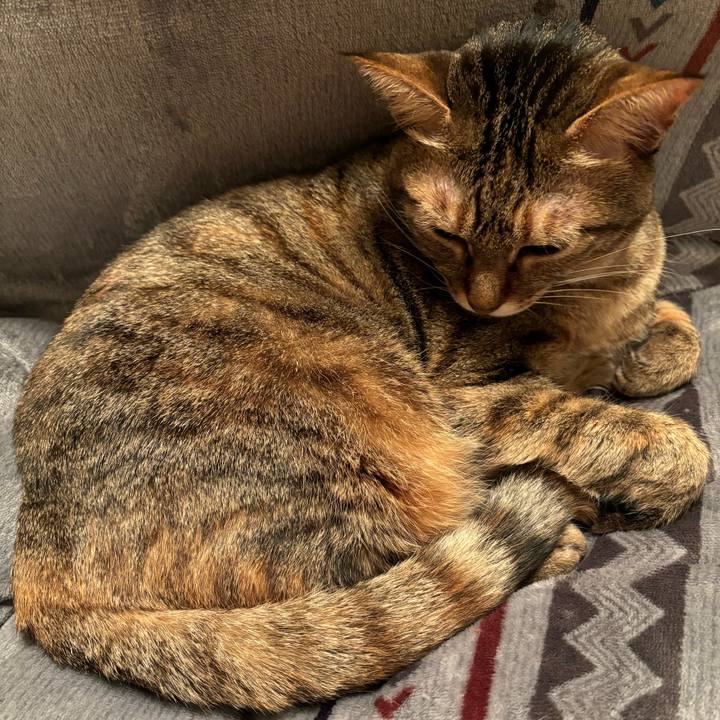 305f61e7 abea 4f2b 8899 1738d577b68a 1708348110671