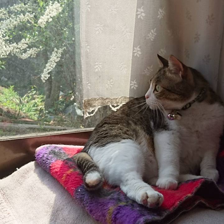 305f69a9 cb95 46a9 aaa9 862d51e0846e 1524109625257