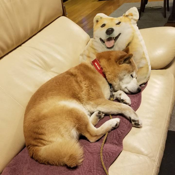 305f74a7 085a 4ec8 86a2 992c71fa9ea3 1711271603041