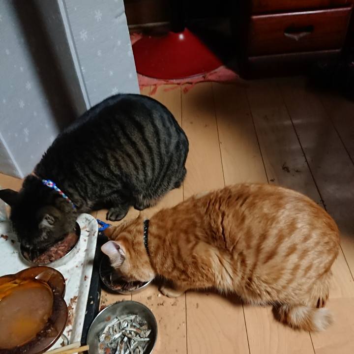 305f9d92 af1d 4ff3 ac3f af2bc6f3555e 1641761939358