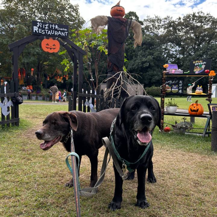 305faf31 908b 4078 89ec fbdc5555cafe 1760964511840