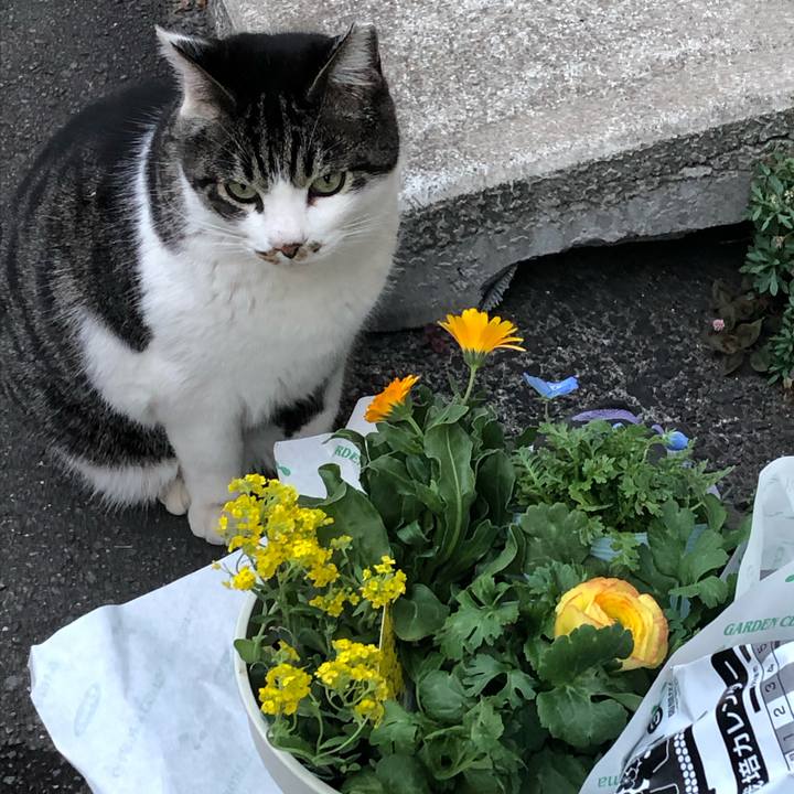 305fc3f8 ab46 440b 895c e98e496a72fe 1578570247399