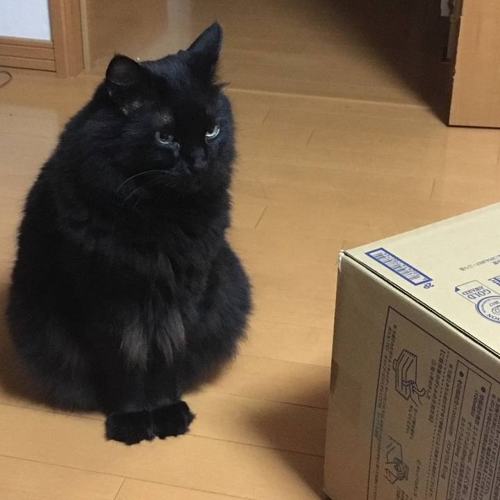 305fdae5 0602 4d77 a901 b329cc496718 1532182245782