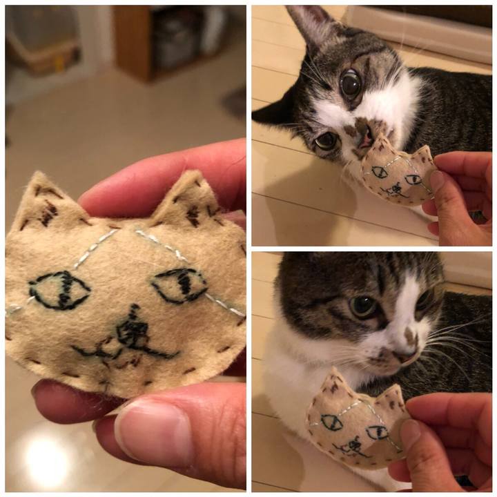 305feff4 2268 46da 95c7 167f7535a17c 1536671540333