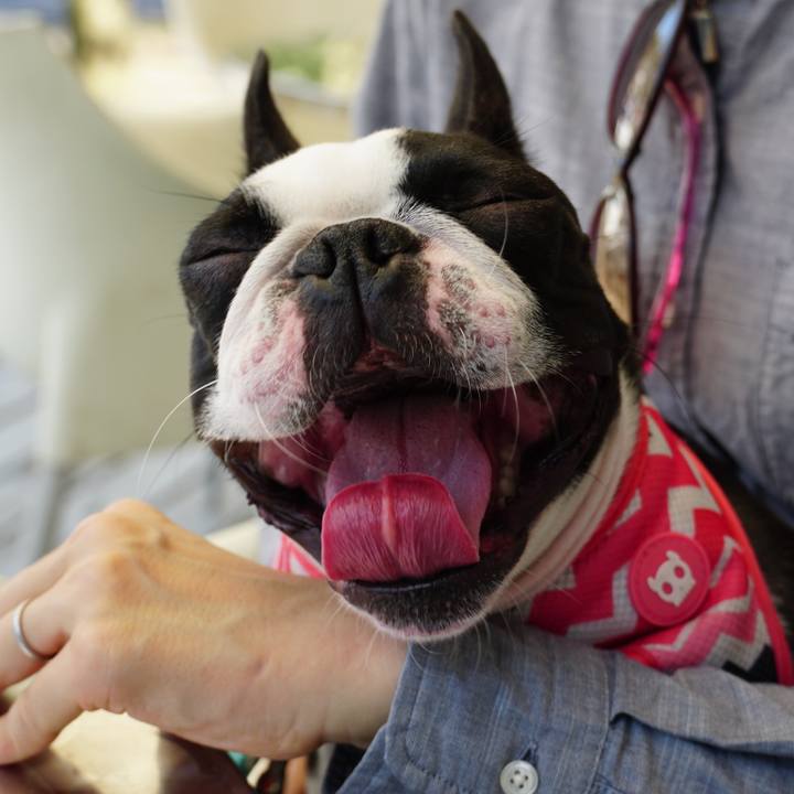 30603c67 72f1 4ec6 a769 8ce8ff3f74e8 1539056208573