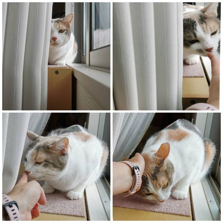 30605c25 8c1e 4342 a003 29003aff6abd 1629194789841