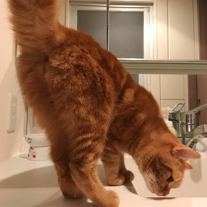 30606132 37bf 49dd 95c9 e75cf7544839 1507975373367