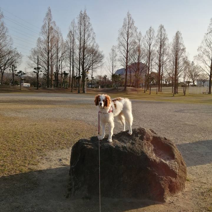 3060740b d263 42fa 830b 532af3bbe45f 1614165253630