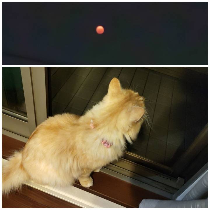 30608968 993a 4d30 8d56 eafdf7357643 1667907089086