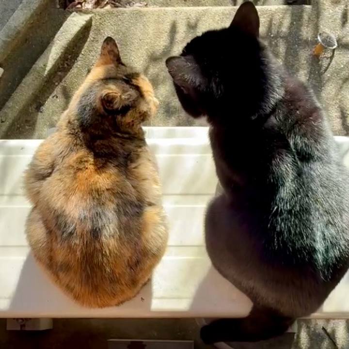 3060b25d bef3 4e31 a318 663b4e1841e0 1764902108925