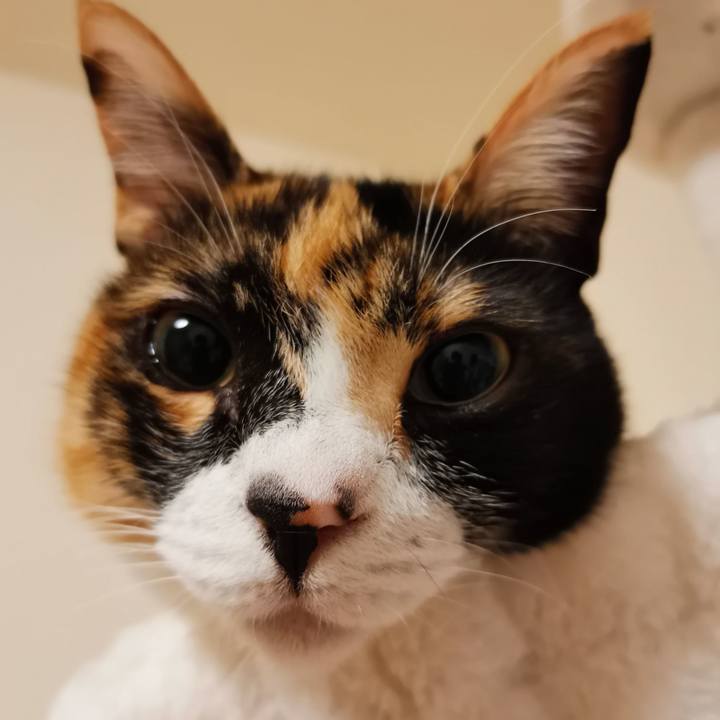 3060f0f9 7674 4498 8eb2 5fca807d74e0 1647229120163