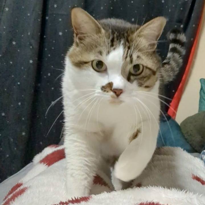 3060fbef 8841 436d a66f c6bbe3204fa2 1736424032124