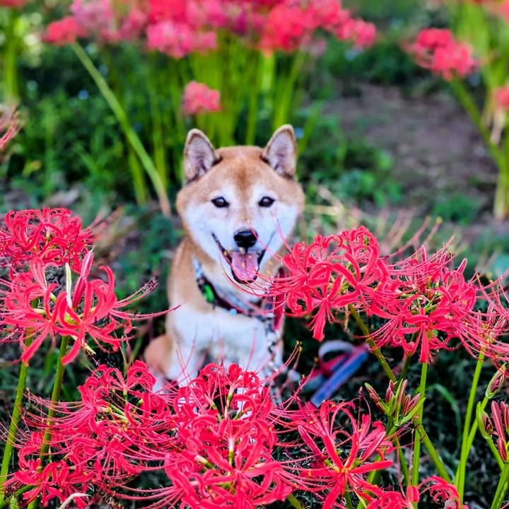 306112bf 4c36 4d07 9a42 a58d11e2cb7c 1758931912673