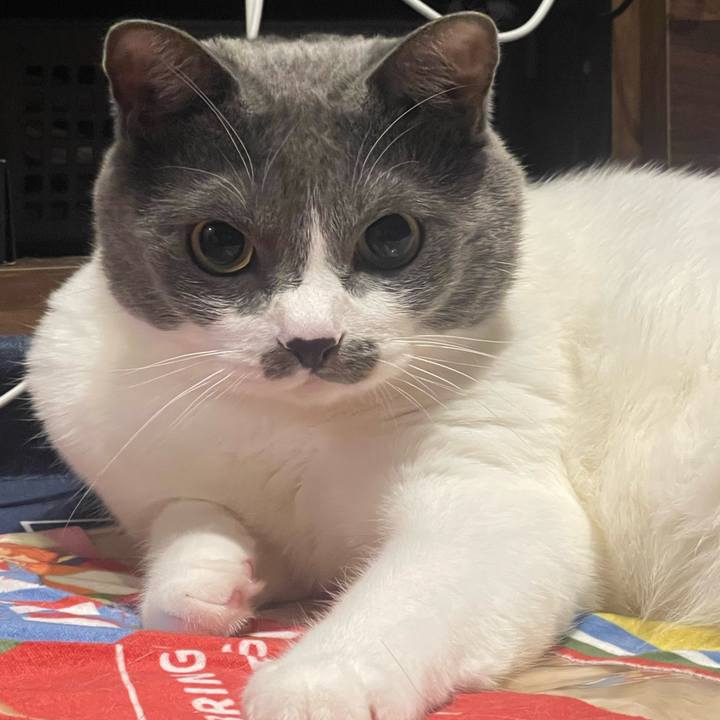 30611718 d733 49e0 8ee4 9a8bfd322523 1697631676070