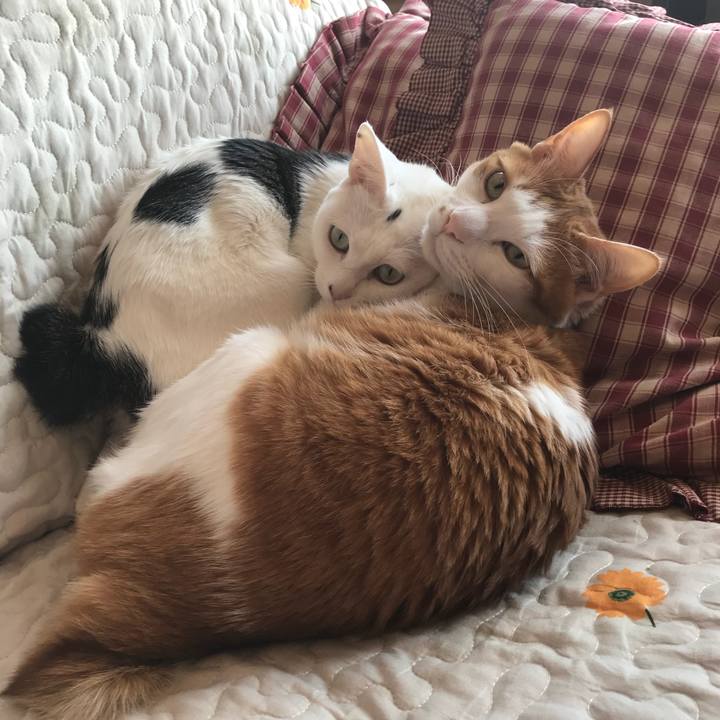 306117ff a5a1 44be a56a f1b3f8749f71 1523852981440