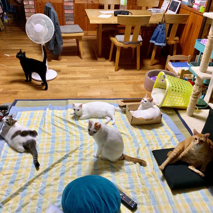 3061277d 5ed3 4b62 ae7f 5b3b4dac5814 1558969483863