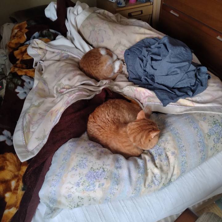 30613a17 5822 42d3 91fd f070745a15f4 1737512219846