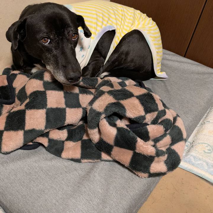 306154e7 2204 4d93 8415 cc2f789c1551 1735692398935