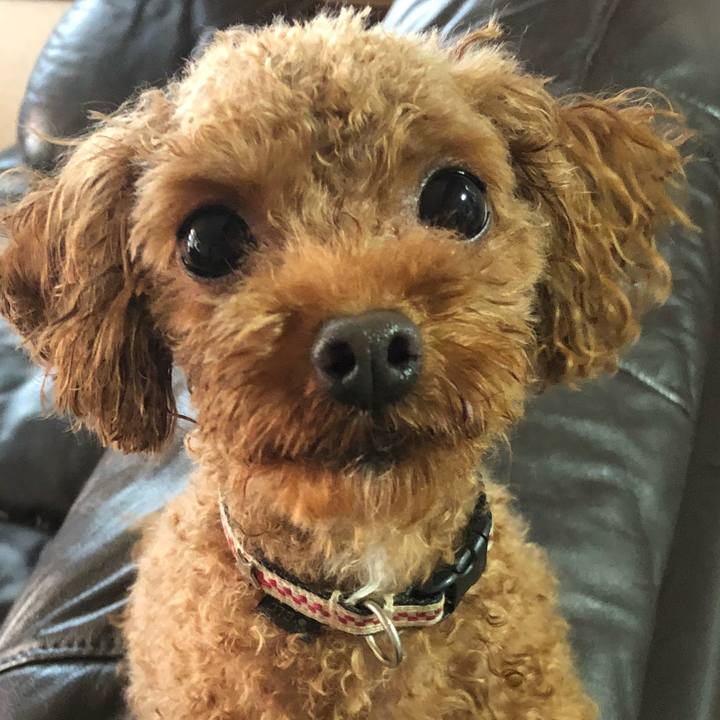 306168f3 d353 4c94 9234 5f231c44066f 1529812402972