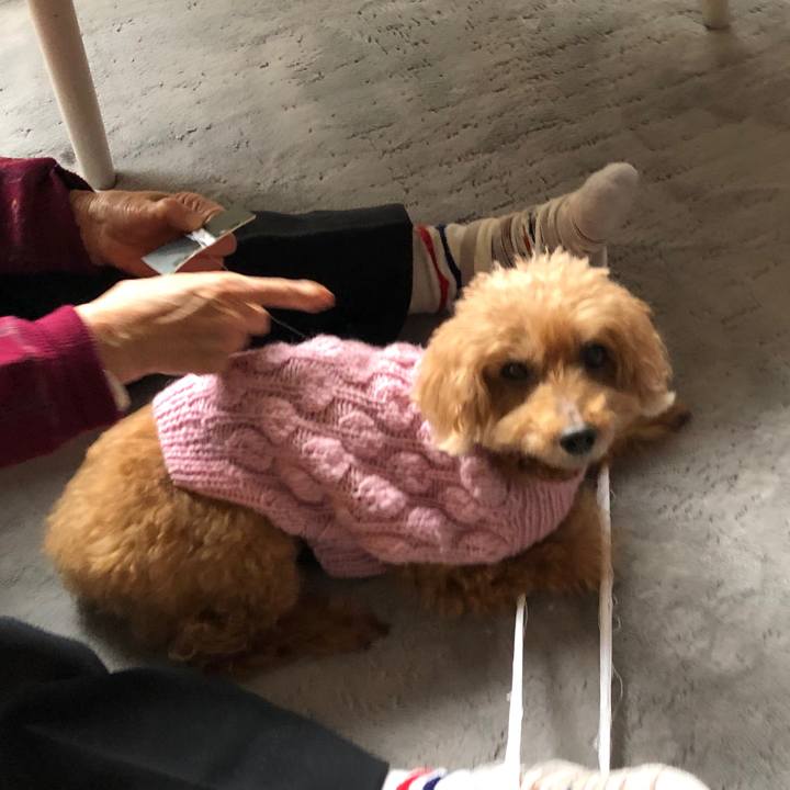 3061adda 54f5 43fd b198 3cdcb23ffefd 1577769511565