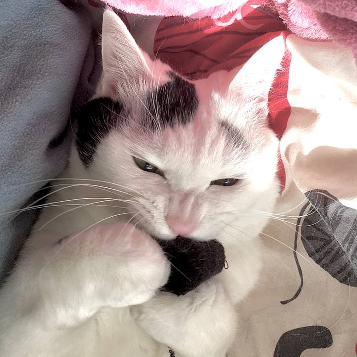 3061b092 e9ec 4fcc 8169 3e02bb966c4b 1580369530743