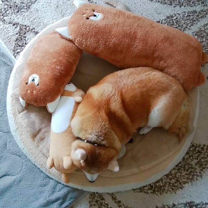 3061d6d5 00a3 4944 8fe8 3dfb771f1918 1585198332016