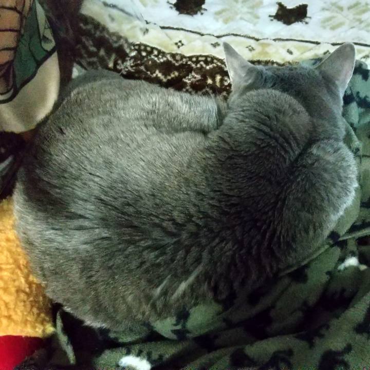 30620054 d20a 40cf 8e21 4f21185dd06a 1676298107464