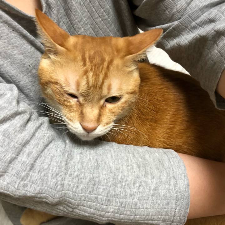 306261b5 713e 4475 b08f 3411287d216e 1600081086327