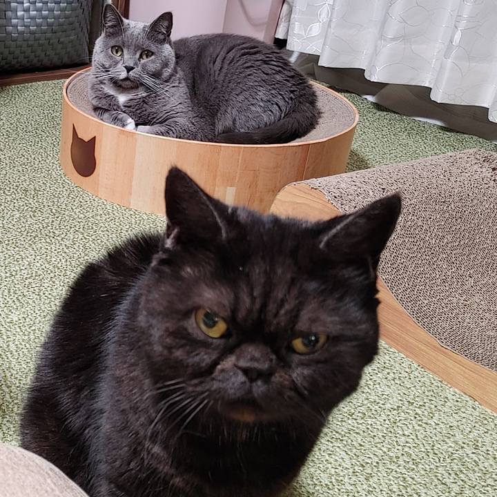 306279b2 5364 49fb af07 75ade5de6f8f 1646919154976