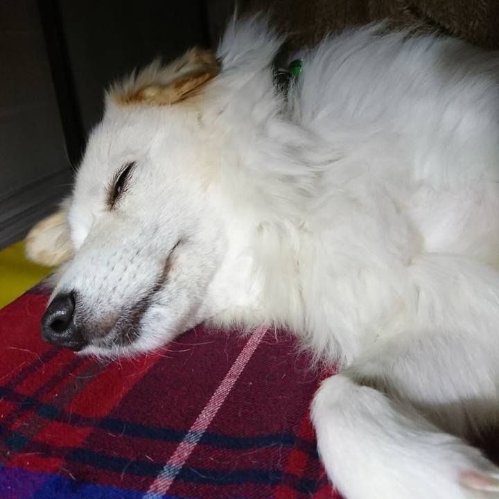 3062dc33 2ceb 4aad b6b9 cfcecd7c3889 1513366400880